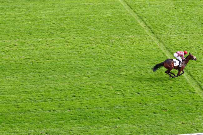Photo d'arrivée de la course pmu PRIX DE NANTES à AUTEUIL le Jeudi 3 octobre 2019