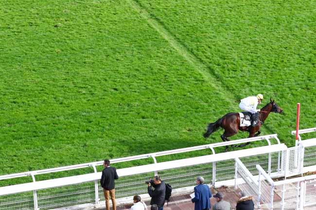 Photo d'arrivée de la course pmu PRIX VIVIENNE à AUTEUIL le Jeudi 3 octobre 2019