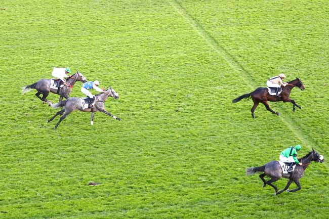 Photo d'arrivée de la course pmu PRIX HIPPARQUE à AUTEUIL le Jeudi 3 octobre 2019