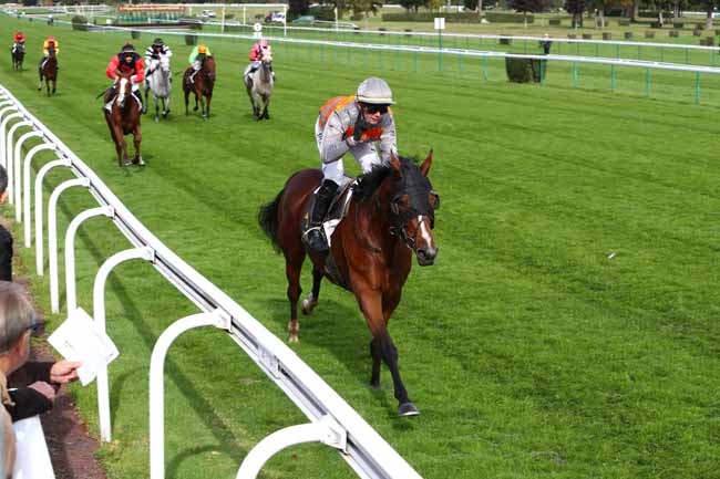 Photo d'arrivée de la course pmu PRIX DU CLUB DES GENTLEMEN-RIDERS ET CAVALIERES à COMPIEGNE le Jeudi 3 octobre 2019