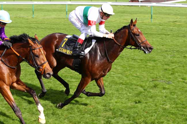 Photo d'arrivée de la course pmu PRIX DE L'ARTOIS à COMPIEGNE le Jeudi 3 octobre 2019