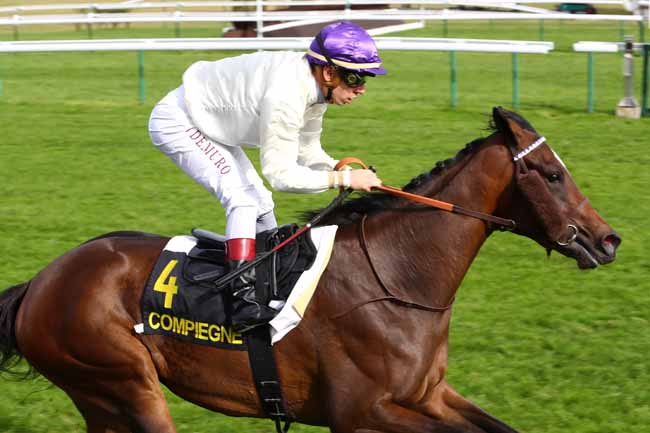 Photo d'arrivée de la course pmu PRIX DE L'AVESNOIS à COMPIEGNE le Jeudi 3 octobre 2019