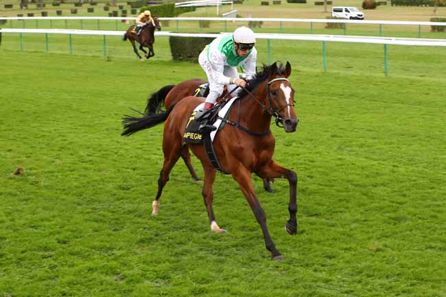 Photo d'arrivée de la course pmu PRIX DE JONQUIERES à COMPIEGNE le Jeudi 3 octobre 2019