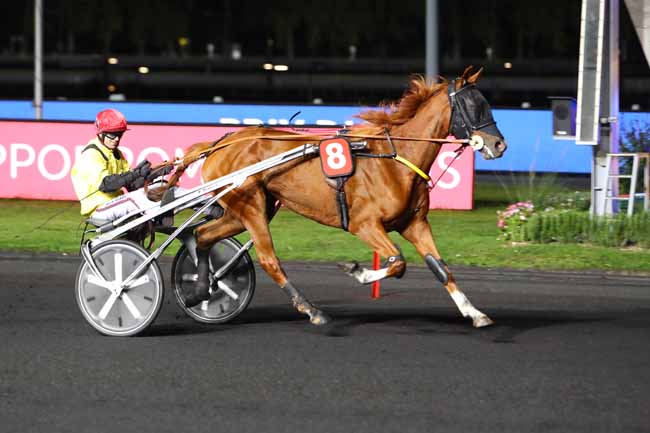 Photo d'arrivée de la course pmu PRIX DIONE à PARIS-VINCENNES le Vendredi 4 octobre 2019