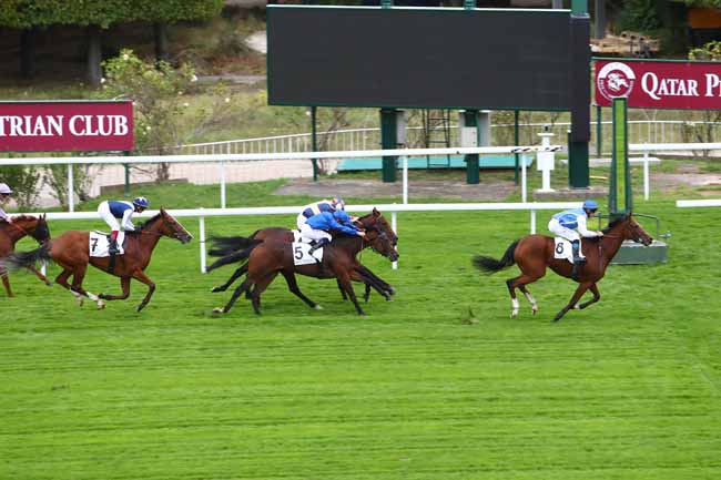 Photo d'arrivée de la course pmu PRIX MATCHEM à SAINT-CLOUD le Vendredi 4 octobre 2019
