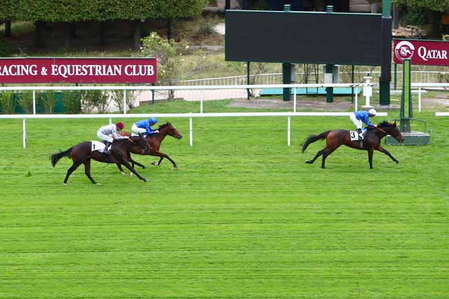 Photo d'arrivée de la course pmu PRIX THOMAS BRYON - JOCKEY CLUB DE TURQUIE à SAINT-CLOUD le Vendredi 4 octobre 2019