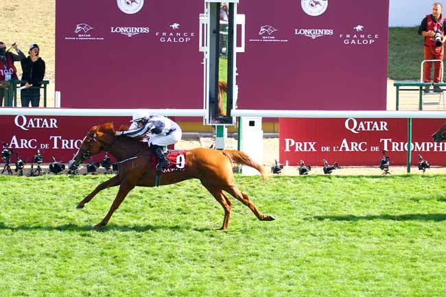 Photo d'arrivée de la course pmu QATAR PRIX MARCEL BOUSSAC - CRITERIUM DES POULICHES à LONGCHAMP le Dimanche 6 octobre 2019