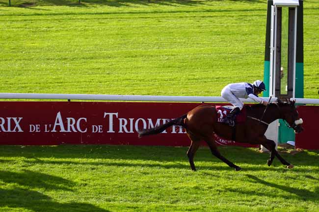Photo d'arrivée de la course pmu PRIX DE L'ABBAYE DE LONGCHAMP LONGINES à LONGCHAMP le Dimanche 6 octobre 2019