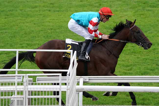 Photo d'arrivée de la course pmu PRIX DU PUITS DU ROY à COMPIEGNE le Lundi 7 octobre 2019