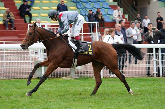 Photo d'arrivée de la course pmu PRIX CHARLES LAFFITTE à COMPIEGNE le Lundi 7 octobre 2019