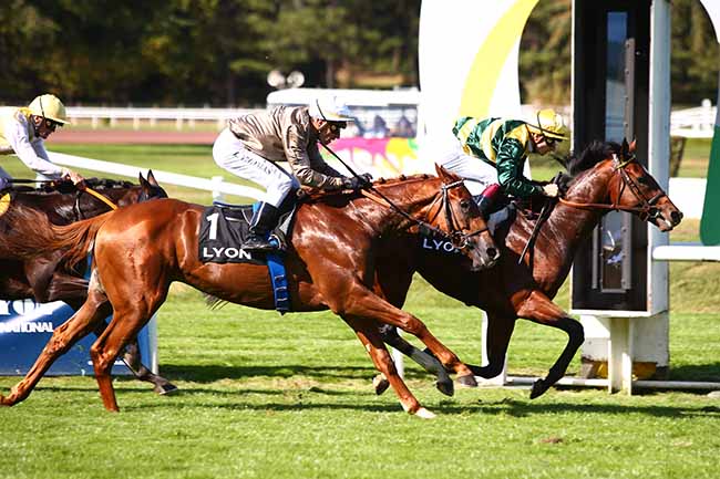 Photo d'arrivée de la course pmu PRIX AKTIS-AMPLITUDE - PRIX DES CAMELIAS à LYON-PARILLY le Mardi 8 octobre 2019