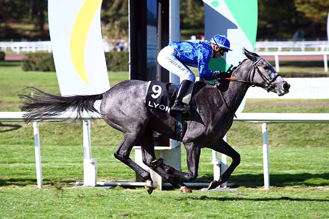Photo d'arrivée de la course pmu PRIX DES ORCHIDEES à LYON-PARILLY le Mardi 8 octobre 2019