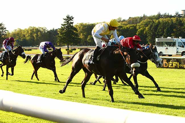 Photo d'arrivée de la course pmu PRIX DES MONTS DU BEAUJOLAIS à LYON-PARILLY le Mardi 8 octobre 2019