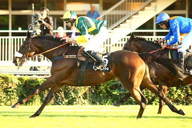 Photo d'arrivée de la course pmu PRIX DU MONT BLANC à LYON-PARILLY le Mardi 8 octobre 2019