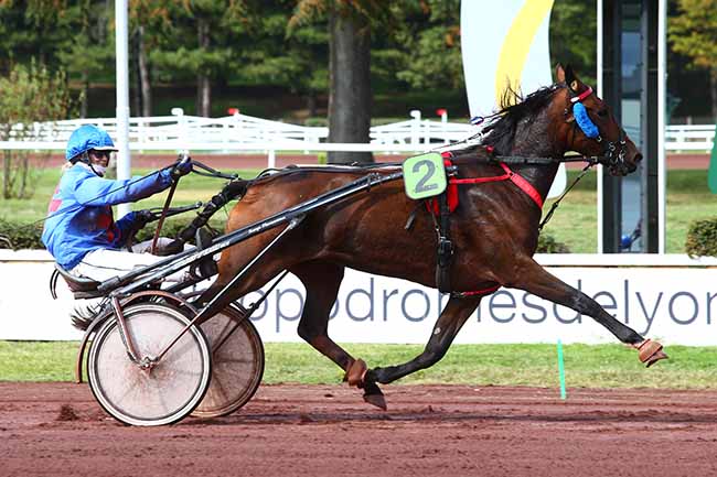 Photo d'arrivée de la course pmu PRIX DU DRACENOIS à LYON-PARILLY le Mercredi 9 octobre 2019