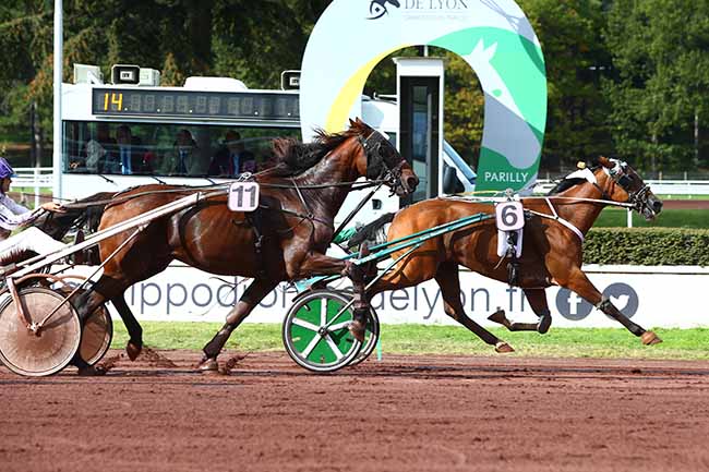 Photo d'arrivée de la course pmu PRIX DU TARN à LYON-PARILLY le Mercredi 9 octobre 2019