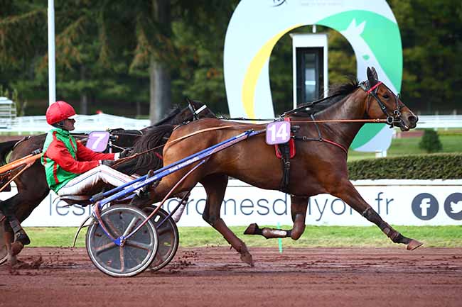Photo d'arrivée de la course pmu PRIX DE BEAUVAISIS à LYON-PARILLY le Mercredi 9 octobre 2019