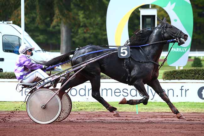 Photo d'arrivée de la course pmu PRIX DE LA COTE D'OR à LYON-PARILLY le Mercredi 9 octobre 2019