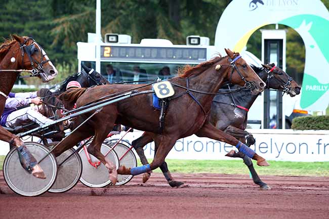 Photo d'arrivée de la course pmu PRIX DE GASCOGNE à LYON-PARILLY le Mercredi 9 octobre 2019
