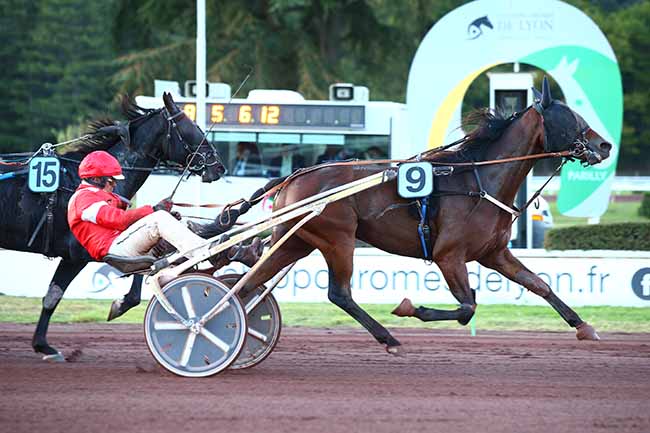 Photo d'arrivée de la course pmu PRIX DE DROUAIS à LYON-PARILLY le Mercredi 9 octobre 2019