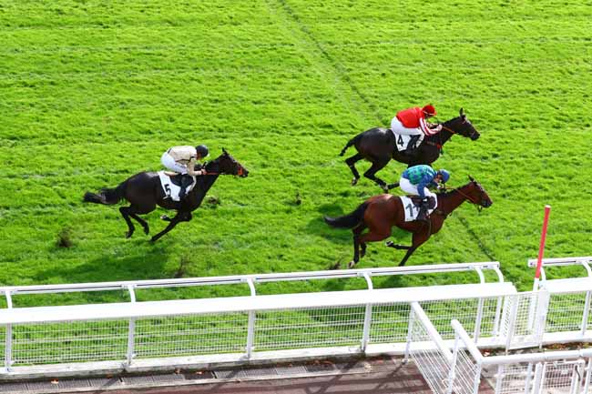 Photo d'arrivée de la course pmu PRIX BEAUREPAIRE à AUTEUIL le Mercredi 9 octobre 2019