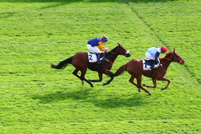 Photo d'arrivée de la course pmu PRIX UCELLO II à AUTEUIL le Mercredi 9 octobre 2019