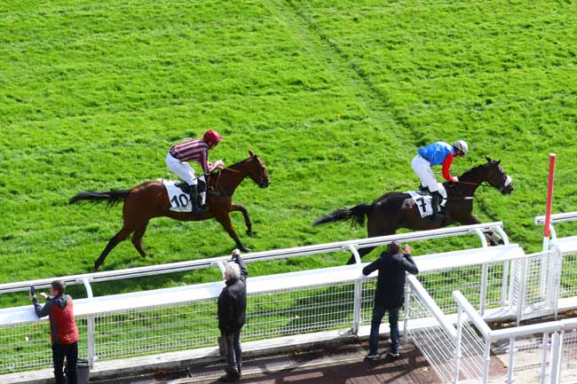 Photo d'arrivée de la course pmu PRIX PIOMARES à AUTEUIL le Mercredi 9 octobre 2019