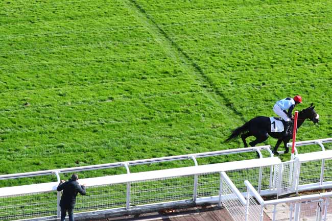 Photo d'arrivée de la course pmu PRIX HARAS D'ETREHAM - PRIX MAGNE à AUTEUIL le Mercredi 9 octobre 2019
