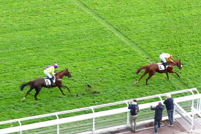 Photo d'arrivée de la course pmu PRIX CLAUDE LE LORRAIN - JOSEPH AUDON à AUTEUIL le Mercredi 9 octobre 2019