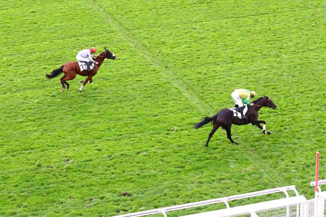 Photo d'arrivée de la course pmu PRIX PETIT FONTAINE à AUTEUIL le Mercredi 9 octobre 2019