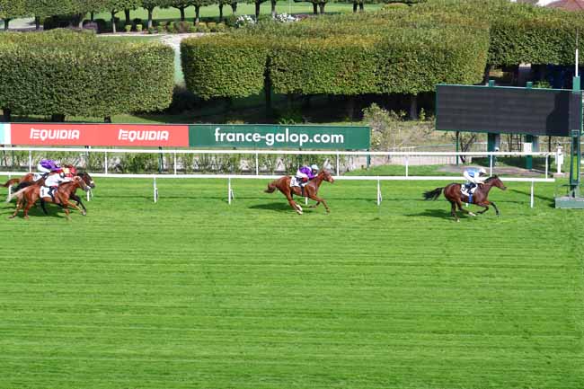 Photo d'arrivée de la course pmu PRIX LELIO à SAINT-CLOUD le Jeudi 10 octobre 2019