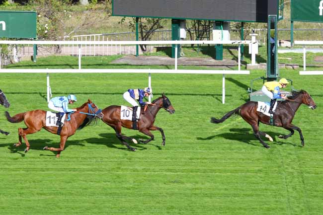 Photo d'arrivée de la course pmu PRIX DES FALAISES DE CRAIE à SAINT-CLOUD le Jeudi 10 octobre 2019