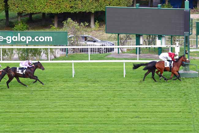 Photo d'arrivée de la course pmu PRIX DE BAZEMONT à SAINT-CLOUD le Jeudi 10 octobre 2019