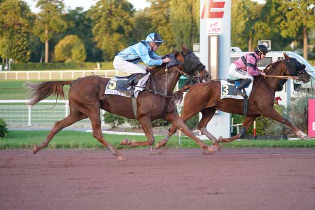 Photo d'arrivée de la course pmu PRIX DE LA PLACE DU PETIT PONT à ENGHIEN le Jeudi 10 octobre 2019