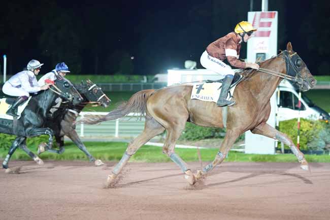 Photo d'arrivée de la course pmu PRIX DE LA PORTE SAINT-DENIS à ENGHIEN le Jeudi 10 octobre 2019
