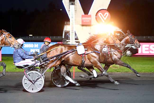 Photo d'arrivée de la course pmu PRIX FREIA à PARIS-VINCENNES le Vendredi 11 octobre 2019