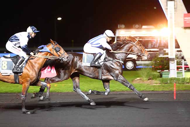 Photo d'arrivée de la course pmu PRIX GORDONIA à PARIS-VINCENNES le Vendredi 11 octobre 2019