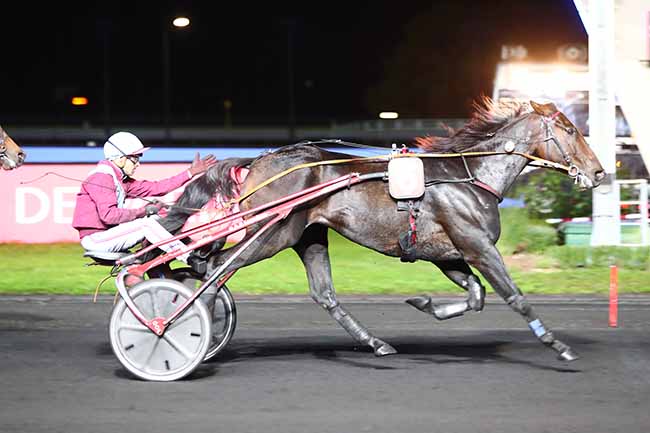 Photo d'arrivée de la course pmu PRIX GUDRUN à PARIS-VINCENNES le Vendredi 11 octobre 2019