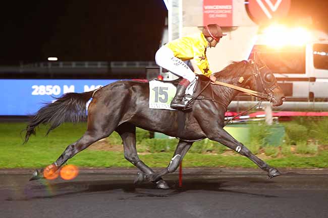 Photo d'arrivée de la course pmu PRIX INGEBORG à PARIS-VINCENNES le Vendredi 11 octobre 2019