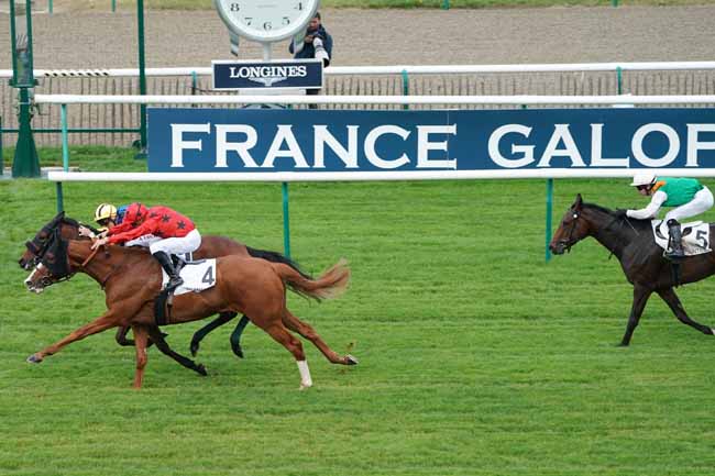 Photo d'arrivée de la course pmu PRIX DE LA SALLE DU SYCOMORE à CHANTILLY le Vendredi 11 octobre 2019