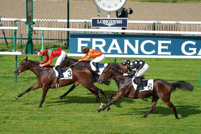 Photo d'arrivée de la course pmu PRIX DE LA SALLE DU SPHYNX à CHANTILLY le Vendredi 11 octobre 2019