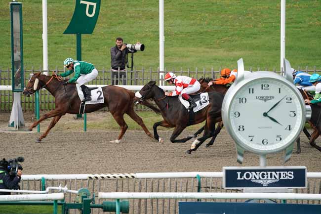 Photo d'arrivée de la course pmu PRIX DE SURVILLIERS à CHANTILLY le Vendredi 11 octobre 2019