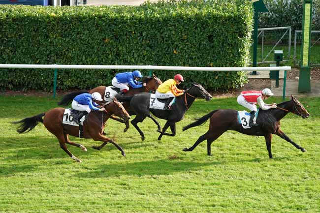 Photo d'arrivée de la course pmu PRIX DE BILLY à CHANTILLY le Vendredi 11 octobre 2019
