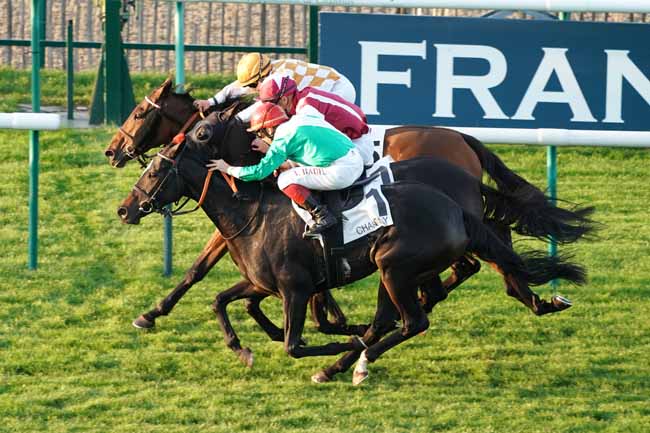Photo d'arrivée de la course pmu PRIX DU CANAL DES MORFONDUS à CHANTILLY le Vendredi 11 octobre 2019