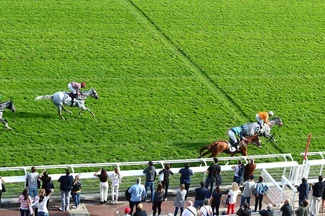 Photo d'arrivée de la course pmu PRIX CARMARTHEN à AUTEUIL le Dimanche 13 octobre 2019