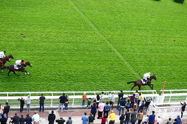Photo d'arrivée de la course pmu PRIX GEORGES DE TALHOUET-ROY à AUTEUIL le Dimanche 13 octobre 2019