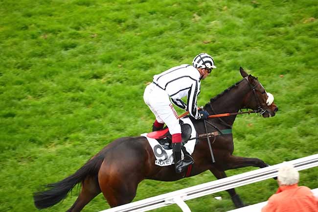 Photo d'arrivée de la course pmu PRIX JACK BARBE à AUTEUIL le Dimanche 13 octobre 2019