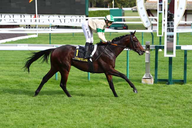 Photo d'arrivée de la course pmu PRIX DE MELICOCQ à COMPIEGNE le Lundi 14 octobre 2019