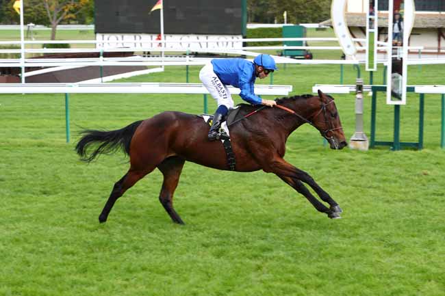Photo d'arrivée de la course pmu PRIX POGGIO RICCO à COMPIEGNE le Lundi 14 octobre 2019