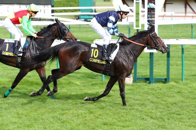 Photo d'arrivée de la course pmu PRIX DE LA DIVETTE à COMPIEGNE le Lundi 14 octobre 2019